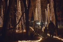 前沿汽车资讯:Rivian R1T启动了2万盏圣诞彩灯