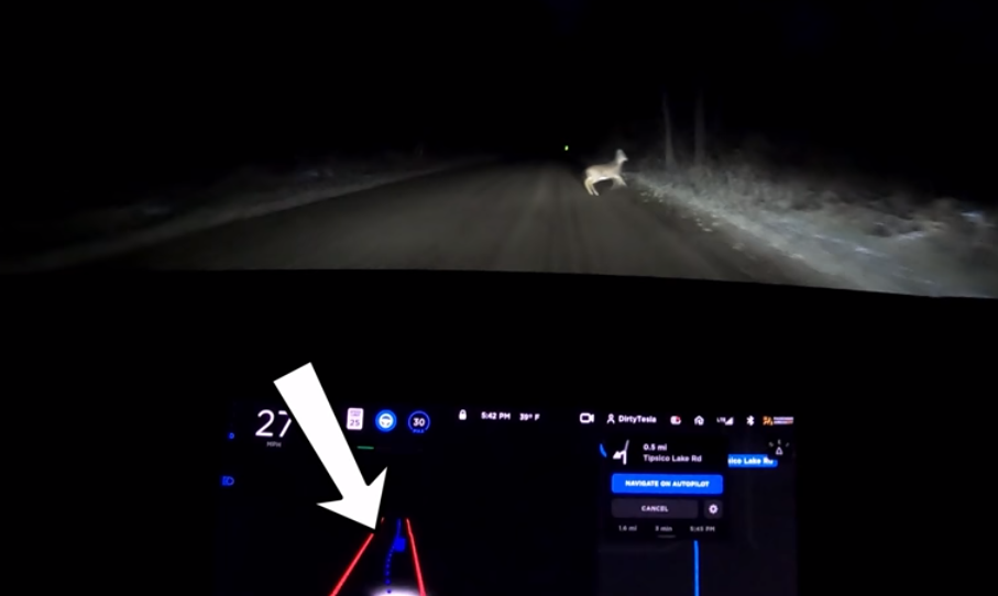 特斯拉全自驾车测试版可以检测并避免天黑后的鹿