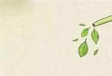 前沿汽车资讯:汽车的国5排放和国6排放有哪些区别？