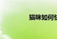 猫咪如何快速下载安装？