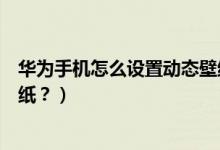 华为手机怎么设置动态壁纸免费（华为手机怎么设置动态壁纸？）
