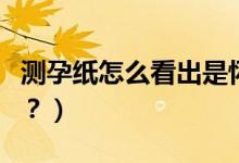 测孕纸怎么看出是怀孕（测孕纸怎么看图解呢？）
