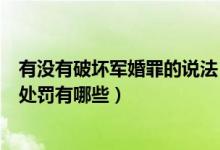 有没有破坏军婚罪的说法（什么叫破坏军婚罪破坏军婚罪的处罚有哪些）