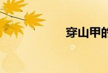 穿山甲的功效与作用