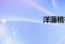 洋蒲桃有什么功效