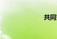 共同赞助的剑