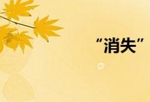 “消失”的原生UP主