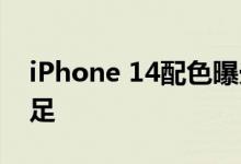 iPhone 14配色曝光！古铜色后壳 印度风十足
