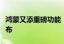 鸿蒙又添重磅功能！华为共享手机屏幕专利公布