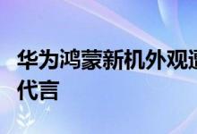 华为鸿蒙新机外观遭曝光！百瓦快充易烊千玺代言