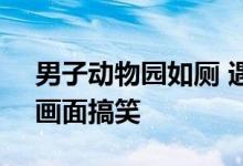 男子动物园如厕 遇老虎趴窗全程“偷窥”！画面搞笑