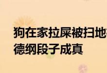 狗在家拉屎被扫地机器人涂满全家 网友：郭德纲段子成真