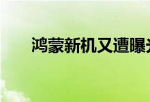 鸿蒙新机又遭曝光 后置三摄百瓦快充