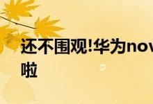 还不围观!华为nova 10/10 Pro详细参数来啦