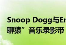 Snoop Dogg与Eminem联手 带来一支“无聊猿”音乐录影带