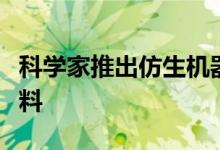 科学家推出仿生机器人鱼以清除海洋中的微塑料
