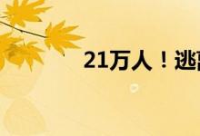 21万人！逃离大厂 涌向何处