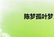 陈梦孤叶梦月网络小说详解