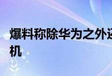 爆料称除华为之外还有手机厂商规划推鸿蒙手机