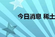 今日消息 稀土永磁板块震荡走低