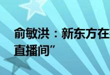 俞敏洪：新东方在建第三个平台 叫“新东方直播间”