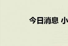 今日消息 小康股份触及跌停