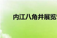 内江八角井展览馆馆长杨念详细介绍