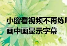 小窗看视频不再练听力：火狐102正式版支持画中画显示字幕
