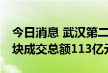 今日消息 武汉第二批集中供地收官：18宗地块成交总额113亿元