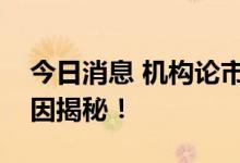 今日消息 机构论市：市场为何突然大跌？原因揭秘！