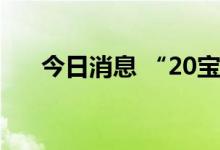 今日消息 “20宝龙04”盘中临时停牌