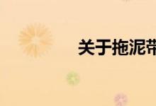 关于拖泥带水皴详细介绍
