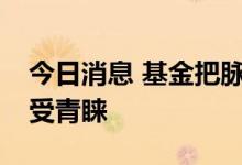 今日消息 基金把脉下半年A股行情 成长风格受青睐