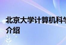 北京大学计算机科学与技术系副教授陈的详细介绍