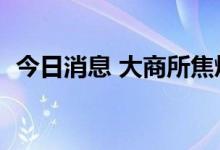 今日消息 大商所焦煤期货主力合约大跌4%