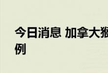 今日消息 加拿大猴痘确诊病例累计升至278例
