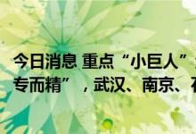 今日消息 重点“小巨人”企业30强城市榜单：宁波、重庆“专而精”，武汉、南京、石家庄增势强劲