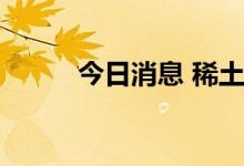 今日消息 稀土永磁板块震荡走强