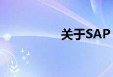 关于SAP fico详细介绍