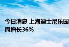 今日消息 上海迪士尼乐园再开园首日：周边酒店预订量较上周增长36%