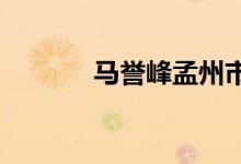 马誉峰孟州市委常委详细介绍