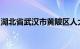 湖北省武汉市黄陂区人大常委会副主任陈双喜