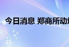 今日消息 郑商所动煤期货主力合约大涨5%
