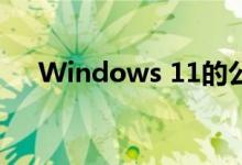 Windows 11的公众接受程度仍然缓慢