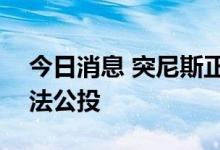 今日消息 突尼斯正式宣布在7月25日举行宪法公投