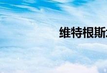 维特根斯坦的详细介绍