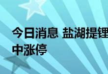 今日消息 盐湖提锂板块持续拉升 盛新锂能盘中涨停