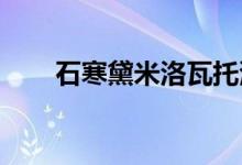 石寒黛米洛瓦托演唱的歌曲详细介绍