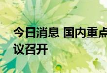 今日消息 国内重点铁矿项目调研摸底视频会议召开