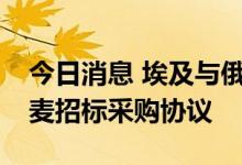 今日消息 埃及与俄法等四国签订81.5万吨小麦招标采购协议